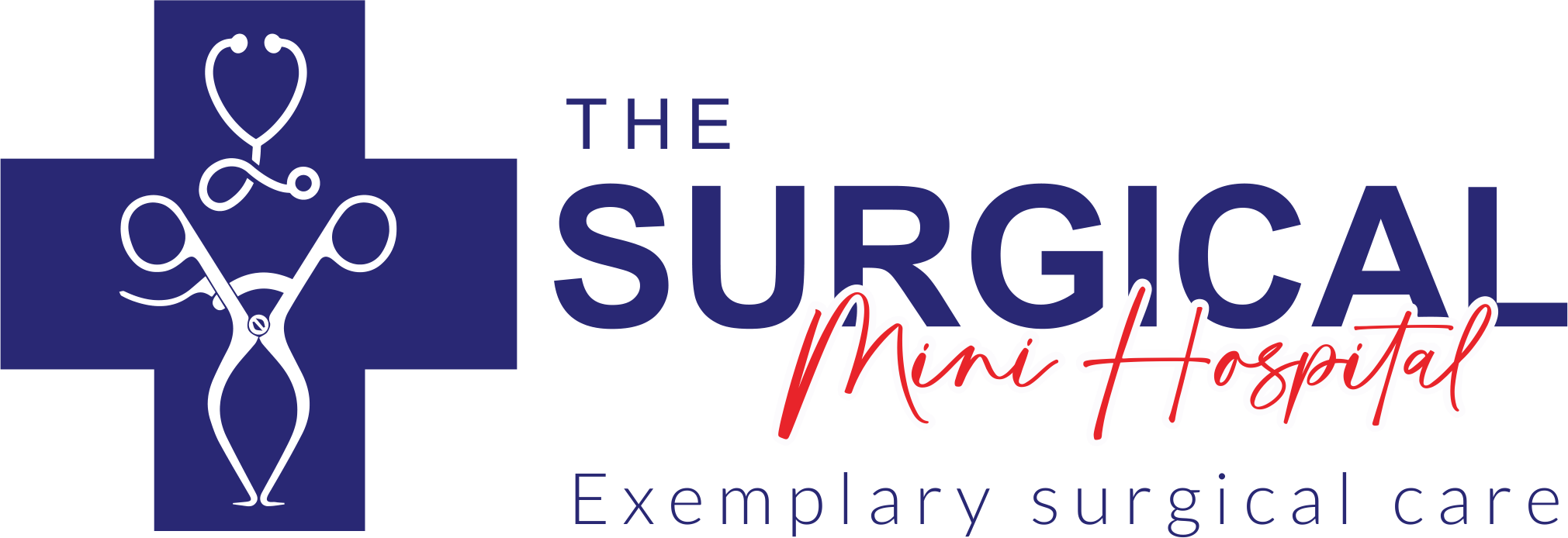 The Surgical Mini Hospital